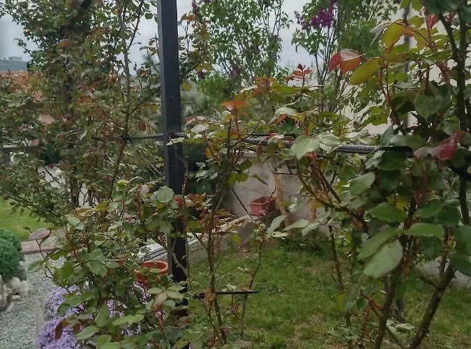 Casa Laura 아파트 리예카