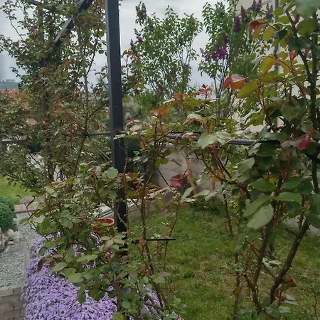 Casa Laura Apartment Rijeka